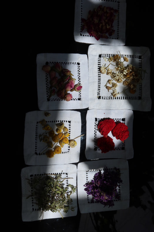 Parvana Princess Violet Tea